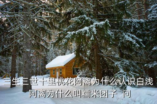 畫萌萌噠的糯米團，三生三世十里桃花阿離為什么認識白淺 阿離為什么叫糯米團子  問