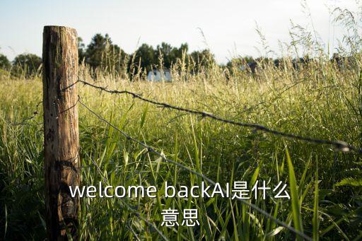 艾倫人工智能研究所三項(xiàng)準(zhǔn)則，welcome backAI是什么意思