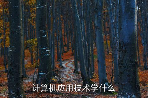 計(jì)算機(jī)應(yīng)用技術(shù)學(xué)什么