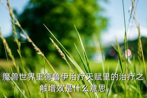 魔獸世界里德魯伊治療天賦里的治療之觸增效是什么意思