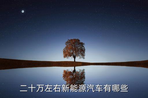 20萬左右的新能源汽車排行榜，二十萬以內(nèi)的電動汽車哪個(gè)比較好