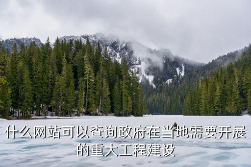 國家重大建設(shè)項目官網(wǎng)，請詳細的介紹一下中國擬在建項目網(wǎng)的具體網(wǎng)站功能