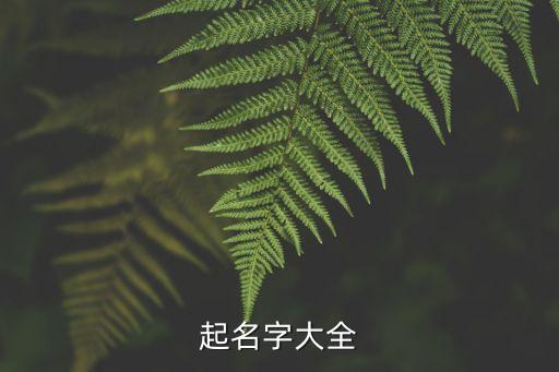 起名字大全