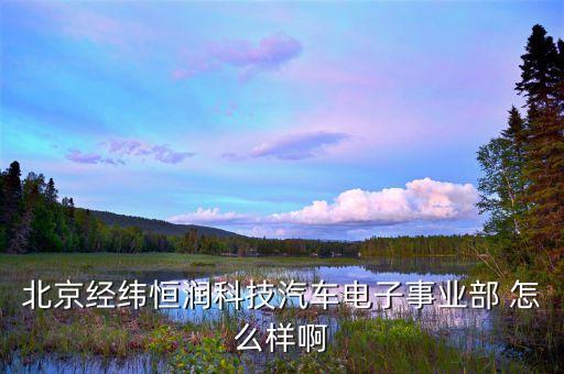 經(jīng)緯恒潤智能駕駛事業(yè)部，經(jīng)緯恒潤科技是干什么的