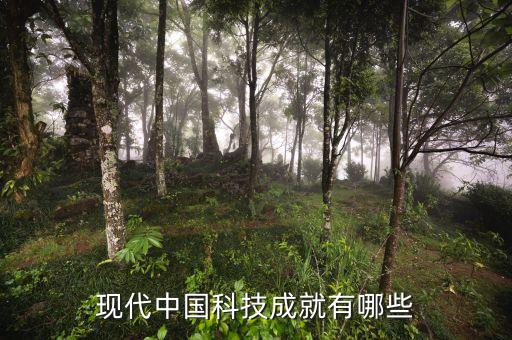 現(xiàn)代中國科技成就有哪些