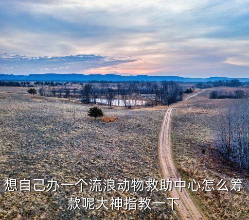 想自己辦一個流浪動物救助中心怎么籌款呢大神指教一下