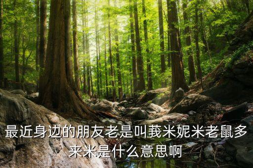多來米花是個(gè)啥，最近身邊的朋友老是叫莪米妮米老鼠多來米是什么意思啊