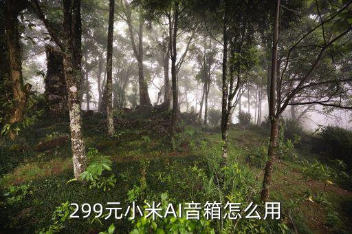 299元小米AI音箱怎么用