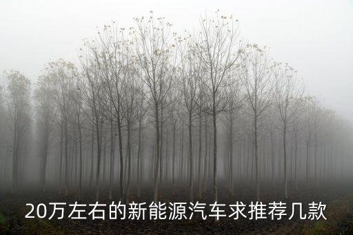 20萬左右的新能源汽車求推薦幾款