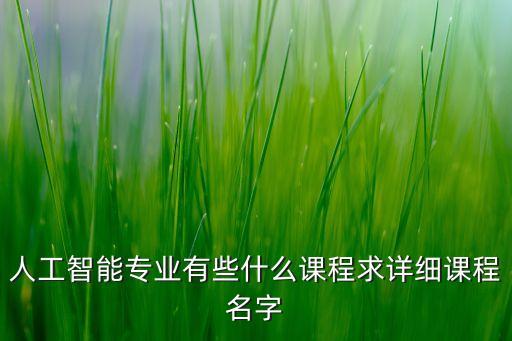 人工智能專業(yè)有些什么課程求詳細(xì)課程名字