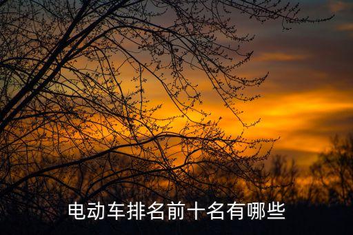 電動車排名前十名有哪些