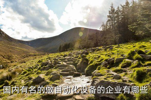 中國工業(yè)自動化企業(yè)，國內(nèi)有名的做自動化設(shè)備的企業(yè)有哪些