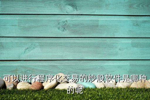 可以進行程序化交易的炒股軟件是哪種的呢