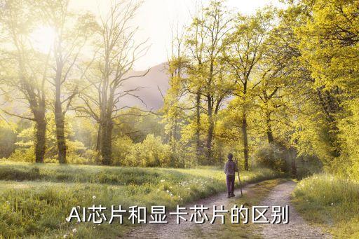 AI芯片和顯卡芯片的區(qū)別