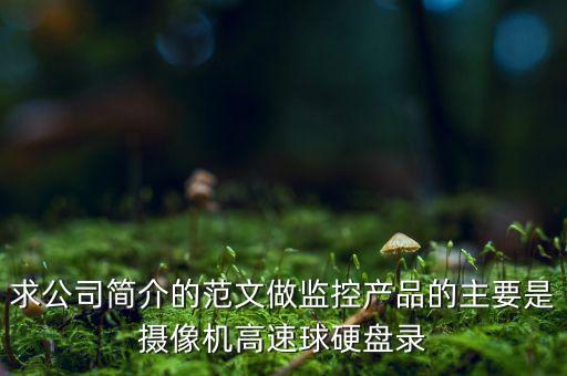 求公司簡(jiǎn)介的范文做監(jiān)控產(chǎn)品的主要是攝像機(jī)高速球硬盤(pán)錄