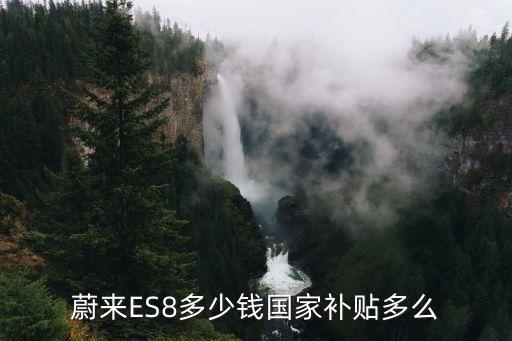 蔚來純電動(dòng)汽車的價(jià)格，蔚來ES8多少錢國家補(bǔ)貼多么