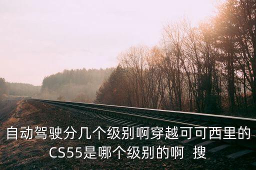 我國(guó)自動(dòng)駕駛屬于什么等級(jí)，自動(dòng)駕駛分幾個(gè)級(jí)別啊穿越可可西里的CS55是哪個(gè)級(jí)別的啊  搜