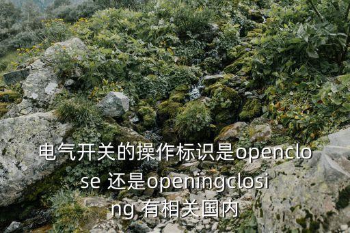 電氣開關(guān)的操作標(biāo)識(shí)是openclose 還是openingclosing 有相關(guān)國(guó)內(nèi)
