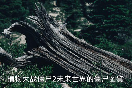 未來世界僵尸，植物大戰(zhàn)僵尸2的未來世界的僵尸博士第2關(guān)怎么過