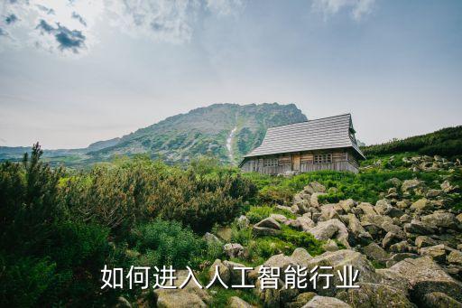 如何進(jìn)入人工智能行業(yè)