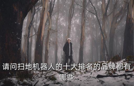 請問掃地機(jī)器人的十大排名的品牌都有哪些