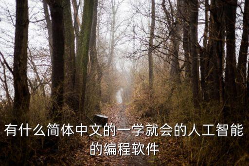 人工智能 自動(dòng)編程，有什么簡(jiǎn)體中文的一學(xué)就會(huì)的人工智能的編程軟件