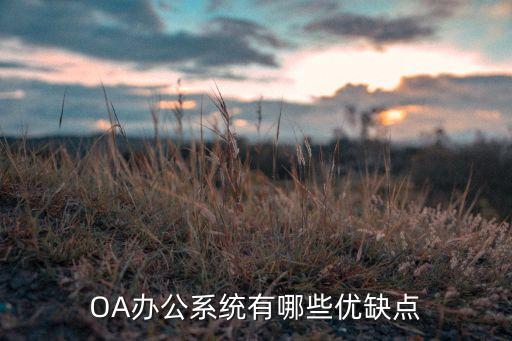 OA辦公系統(tǒng)有哪些優(yōu)缺點