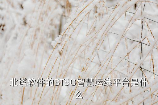北塔軟件的BTSO智慧運(yùn)維平臺(tái)是什么