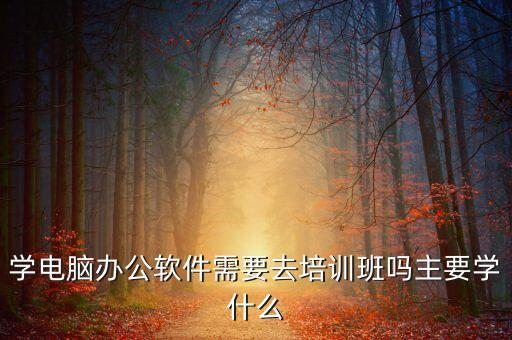 學(xué)電腦辦公軟件需要去培訓(xùn)班嗎主要學(xué)什么
