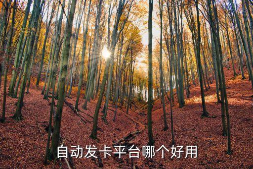 自動發(fā)卡平臺哪個好用
