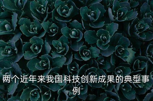 兩個近年來我國科技創(chuàng)新成果的典型事例