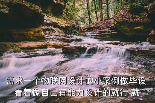 需求一個(gè)物聯(lián)網(wǎng)設(shè)計(jì)的小案例做畢設(shè) 看著像自己有能力設(shè)計(jì)的就行 就