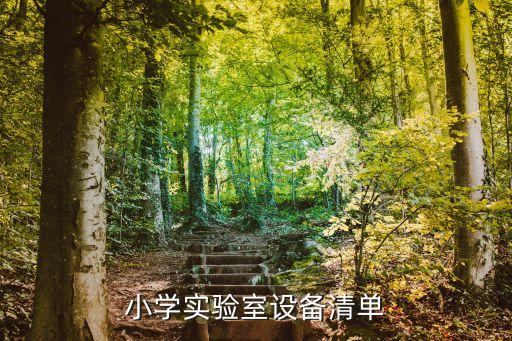 小學(xué)實(shí)驗(yàn)室設(shè)備清單