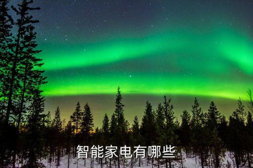 智能小家電有哪些產(chǎn)品，智能小家電目前有哪些產(chǎn)品深圳有做智能小家電的廠家嗎