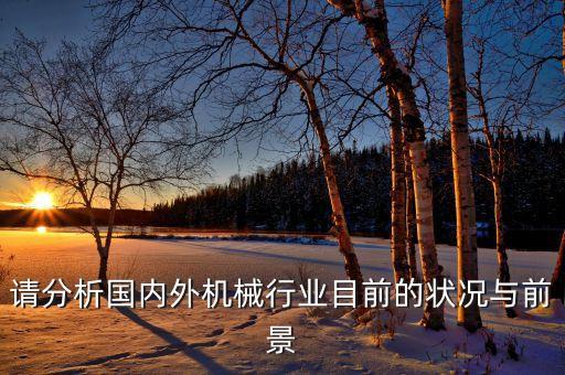 請分析國內(nèi)外機(jī)械行業(yè)目前的狀況與前景