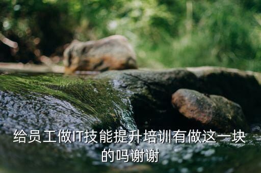 給員工做IT技能提升培訓(xùn)有做這一塊的嗎謝謝