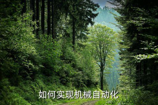 如何實(shí)現(xiàn)機(jī)械自動(dòng)化