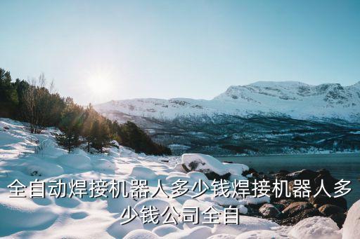 全自動(dòng)焊接機(jī)器人多少錢焊接機(jī)器人多少錢公司全自