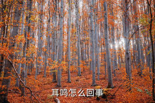 萬東醫(yī)療怎么回事，心肌酶偏高是怎么回事