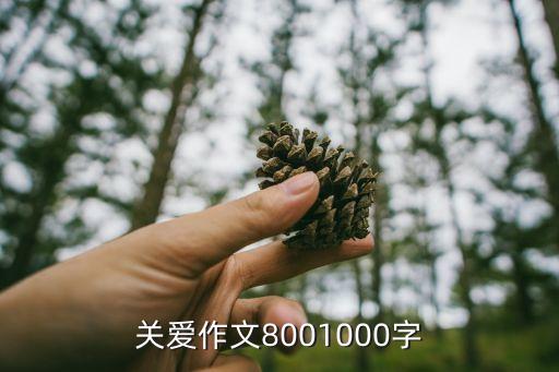 關(guān)愛作文800字優(yōu)秀作文，關(guān)愛作文8001000字
