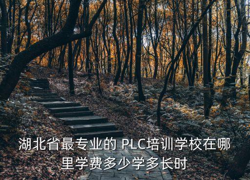 湖北省最專業(yè)的 PLC培訓(xùn)學(xué)校在哪里學(xué)費(fèi)多少學(xué)多長時(shí)