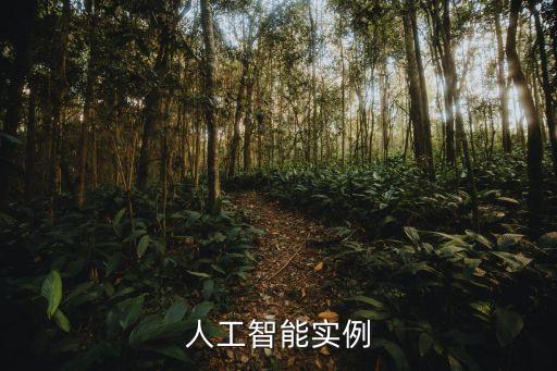 人工智能實(shí)例