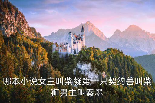 哪本小說女主叫紫凝第一只契約獸叫紫獅男主叫秦墨