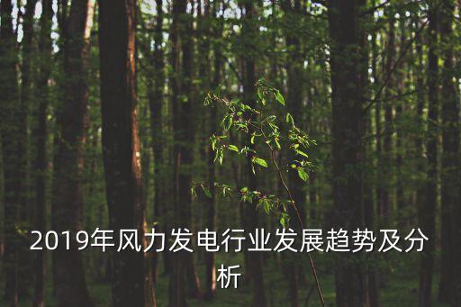 2019年風(fēng)力發(fā)電行業(yè)發(fā)展趨勢(shì)及分析