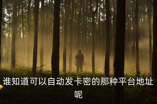 誰(shuí)知道可以自動(dòng)發(fā)卡密的那種平臺(tái)地址呢