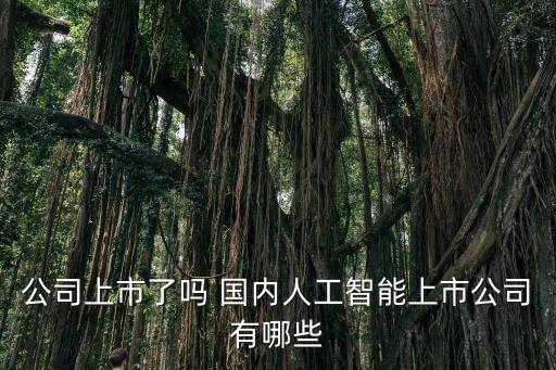 公司上市了嗎 國內(nèi)人工智能上市公司有哪些
