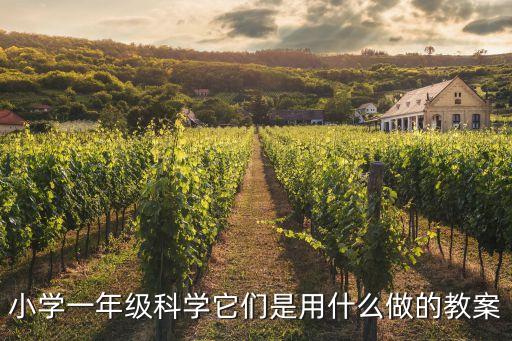 小學一年級科學小實驗教案，小學一年級科學它們是用什么做的教案