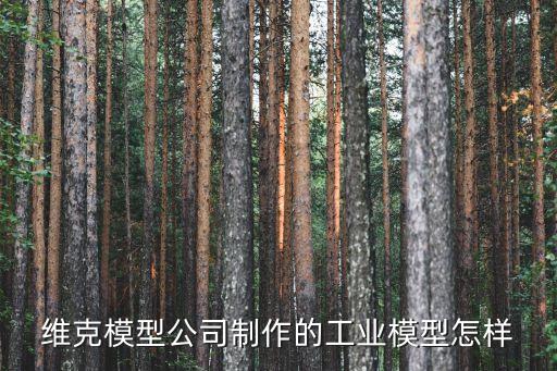 上海工業(yè)自動(dòng)化展，維克模型公司制作的工業(yè)模型怎樣