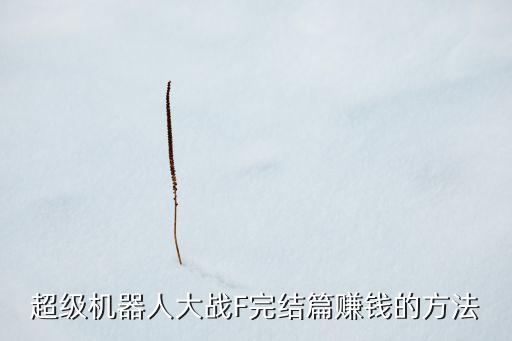 超級機器人大戰(zhàn)F完結(jié)篇賺錢的方法
