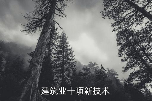 十項新技術2019，建筑業(yè)10項新技術指的是什么